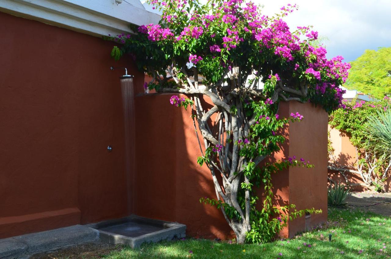 The Peaches Bungalows 45 & 46 Maspalomas  Exterior photo